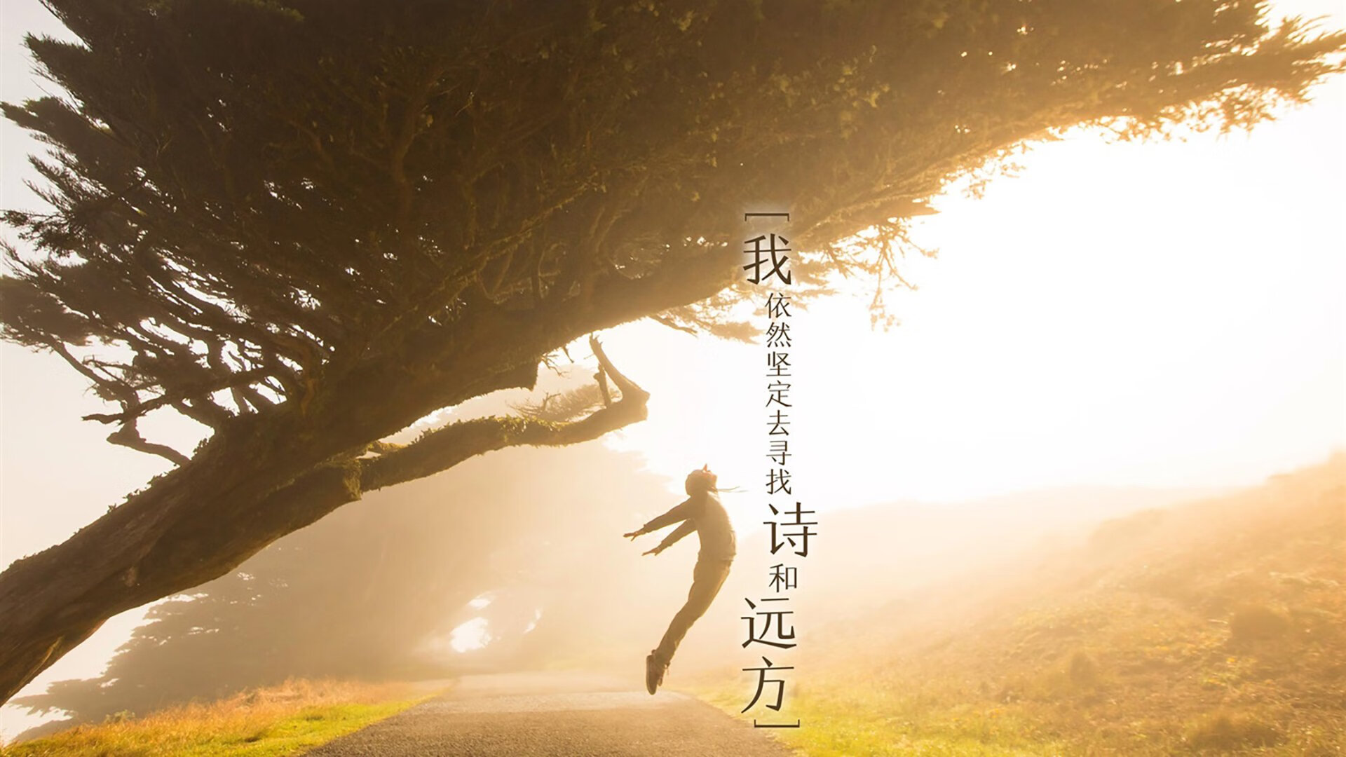 “东桃花岛：缆绳滑水让水上运动焕发新光彩”