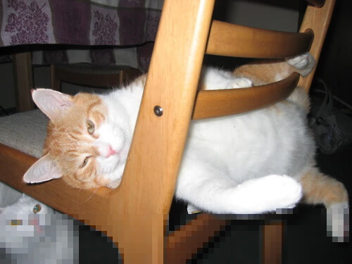 中国女篮创造历史 首进世界杯决赛，中国女篮创造历史 首进世界杯决赛的是谁