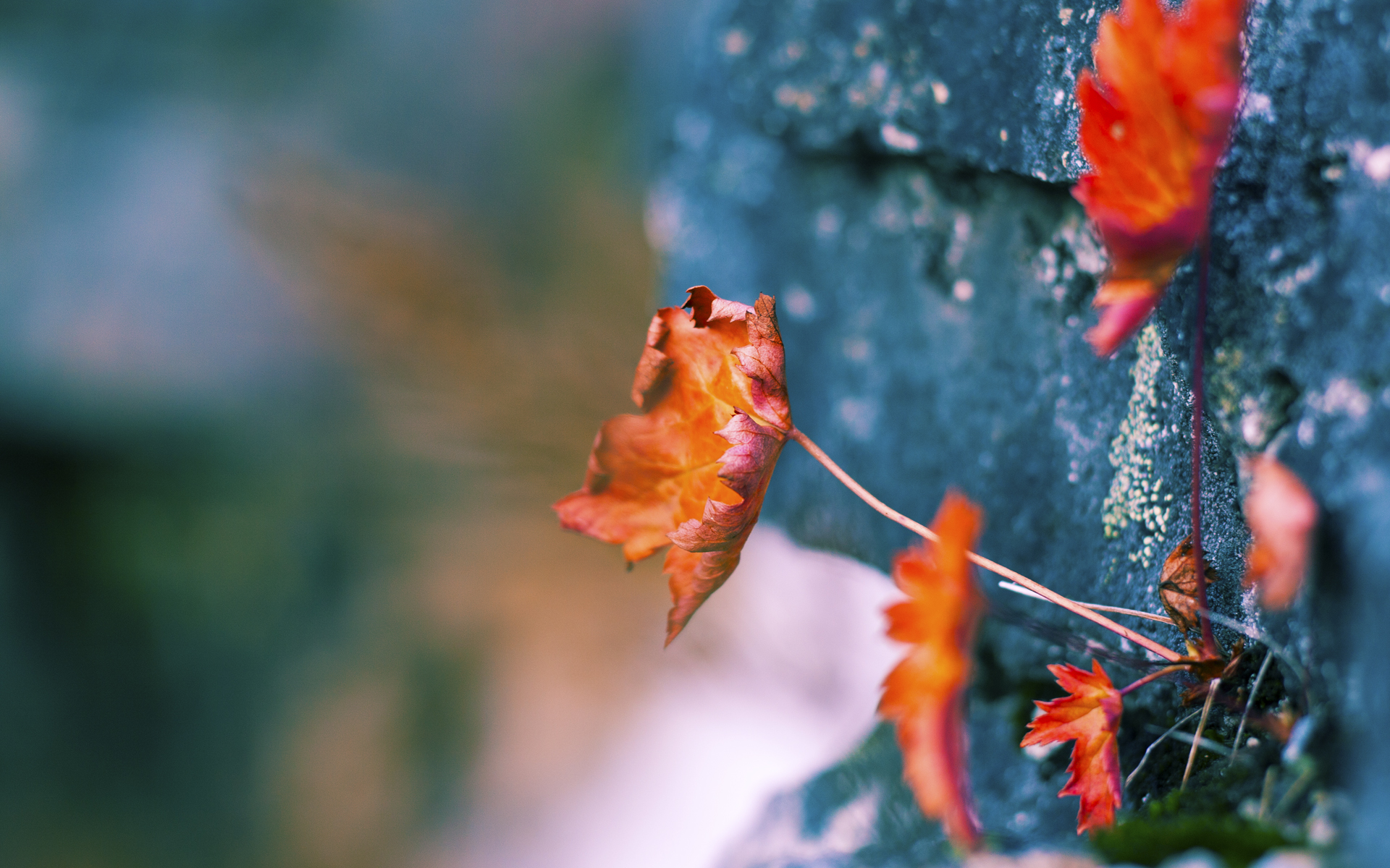 中国女篮优化阵容分工提升得分效率,中国女篮队伍