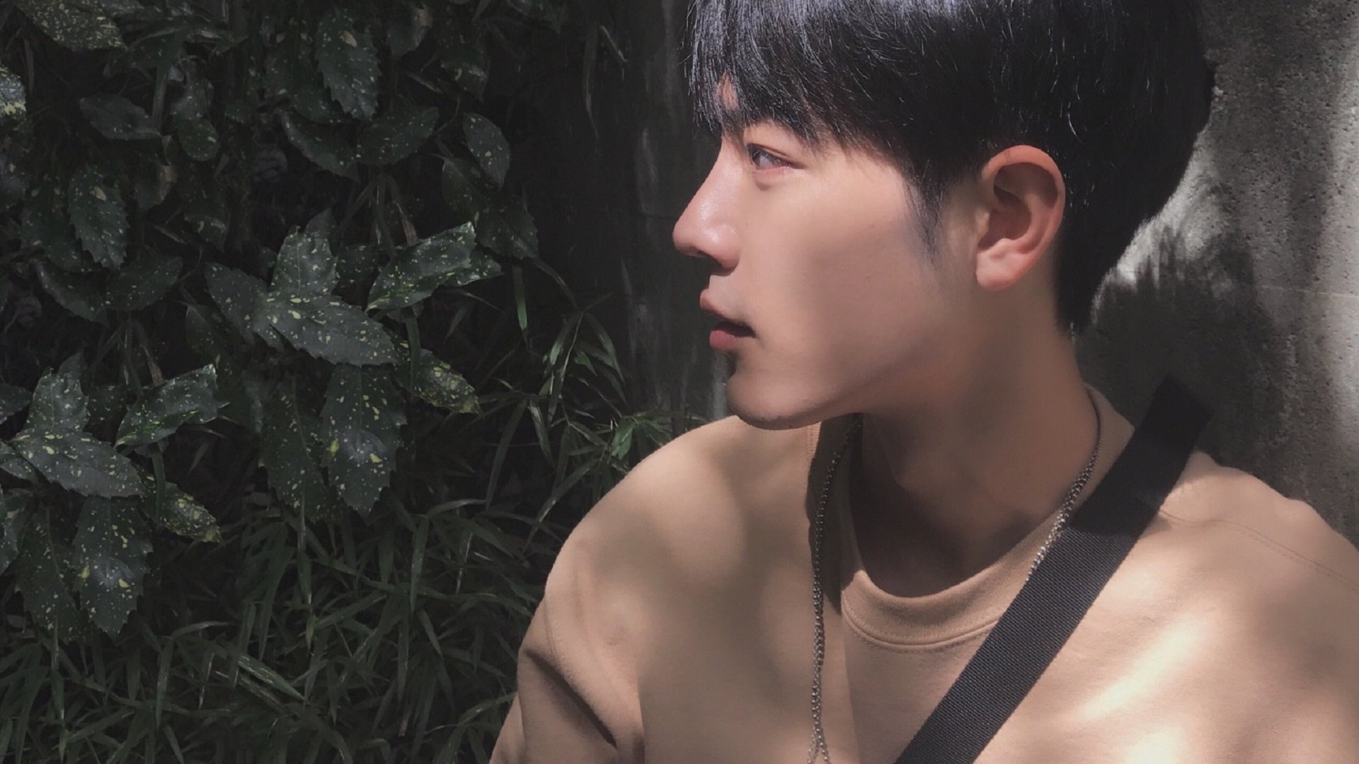 仰泳对决韩国表现冷静自信，仰泳 2017