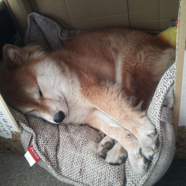 从失败中汲取前进动力，从失败中汲取前进动力英语