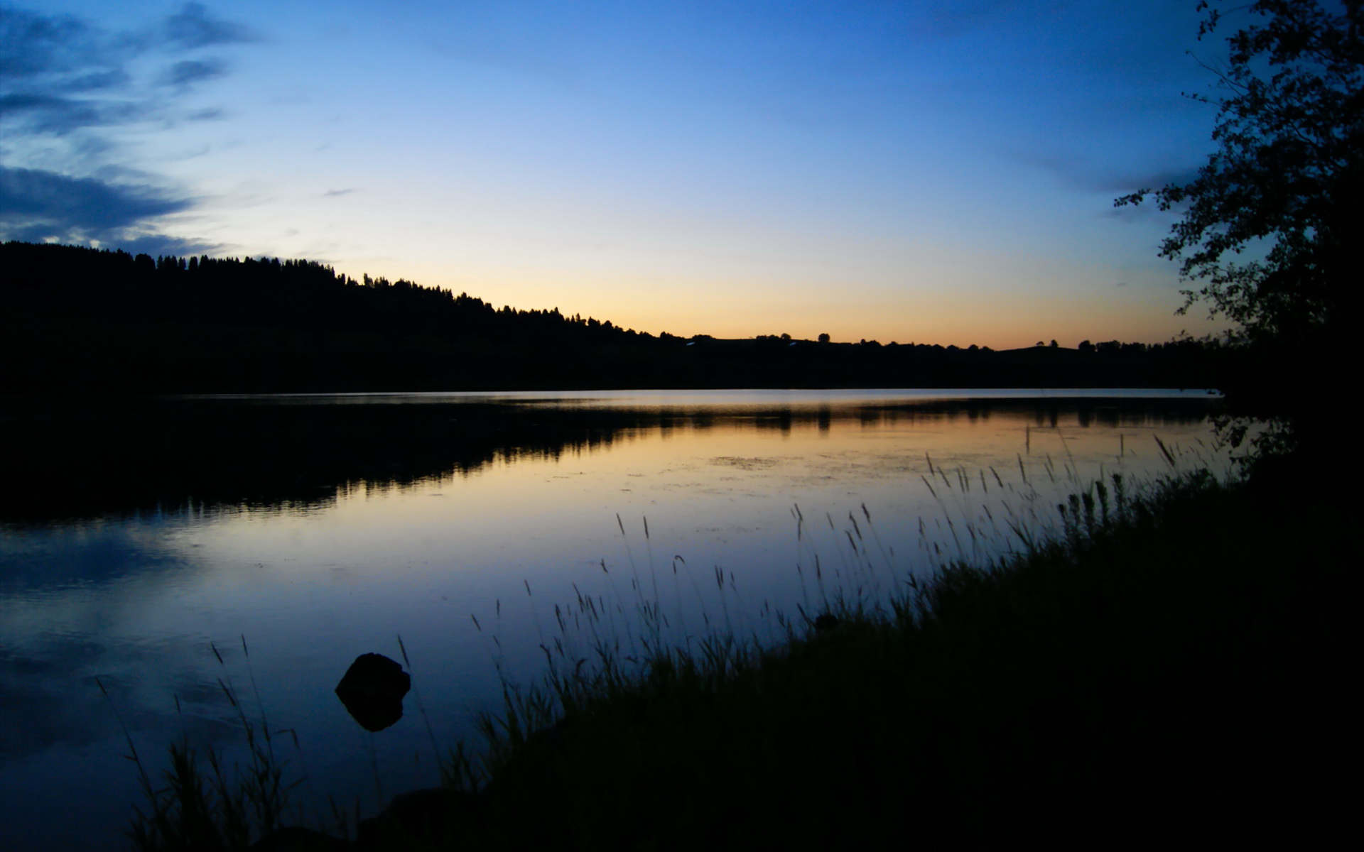 体育企业布局海外拓展新市场，体育企业发展