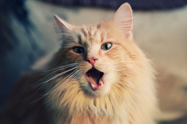 乐鱼体育网址入口-李娜坦言退役后更理解体育教育意义，李娜体育精神